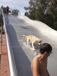 Hundeschwimmen-5